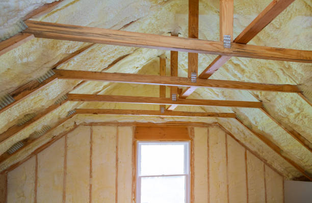 Best Blown-in Insulation  in Lake Dalecarlia, IN