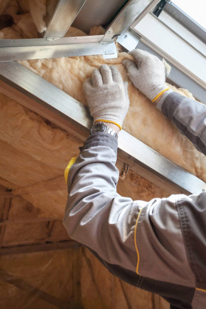 Best Insulation Repair Services  in Lake Dalecarlia, IN