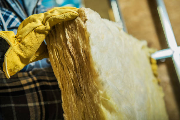 Best Commercial Insulation Contractor  in Lake Dalecarlia, IN