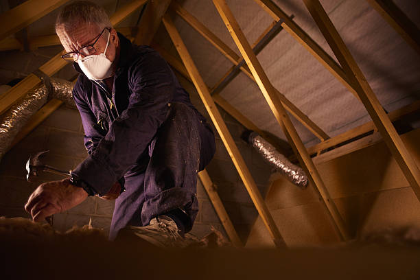 Best Spray Foam Insulation  in Lake Dalecarlia, IN